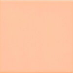 UNICOLOR Salmon 15x15 (bal=1m2)