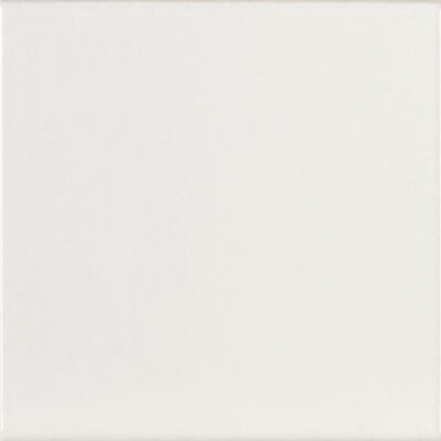 EVOLUTION Blanco Brillo 15x15 (bal = 1 m2), EQ-O