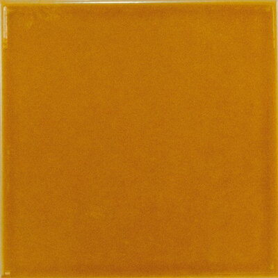 EVOLUTION Amber 15X15 (EQ-6) (1bal=1m2)